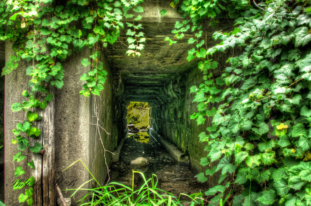 20130901-_1RB9631_2_3-5.jpg