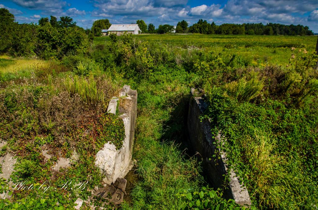 20130902-_1RB9648.jpg