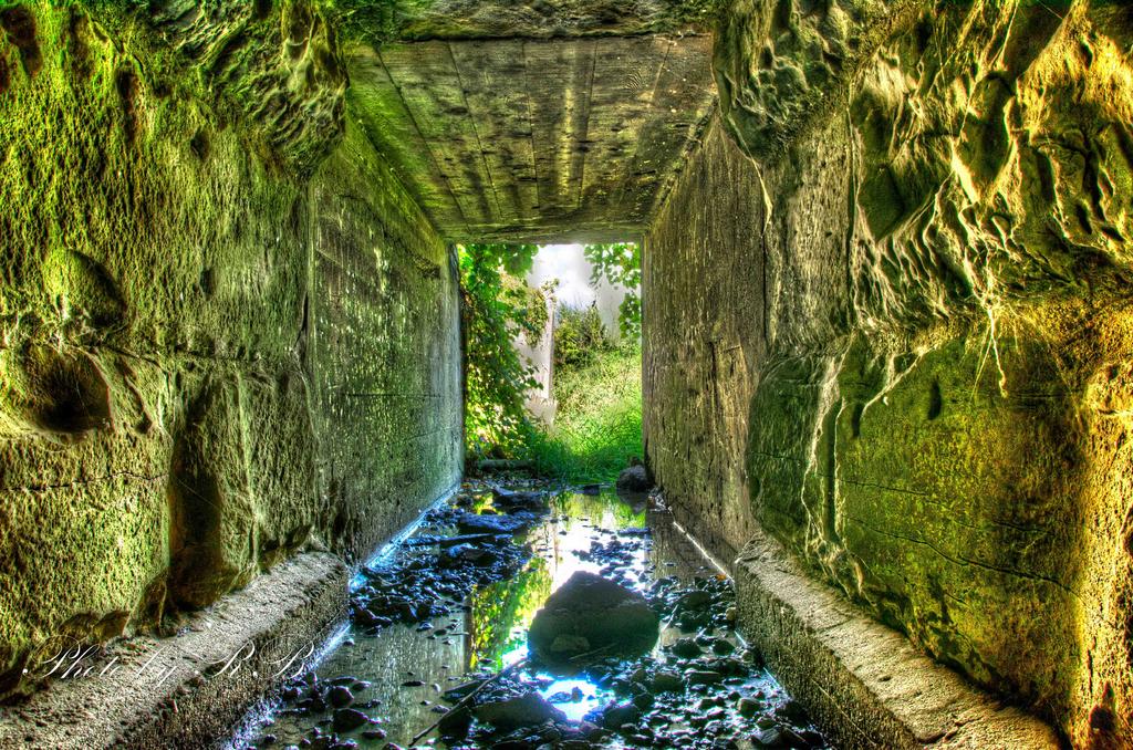 20130902-_1RB9655_6_7.jpg