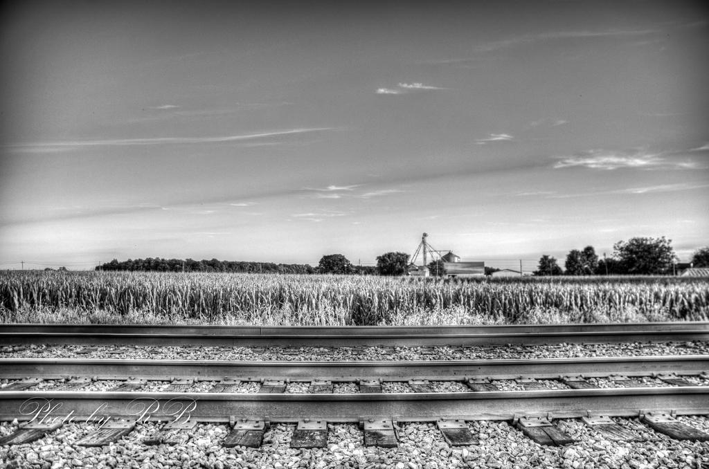 20130903-_1RB9706_7_8.jpg