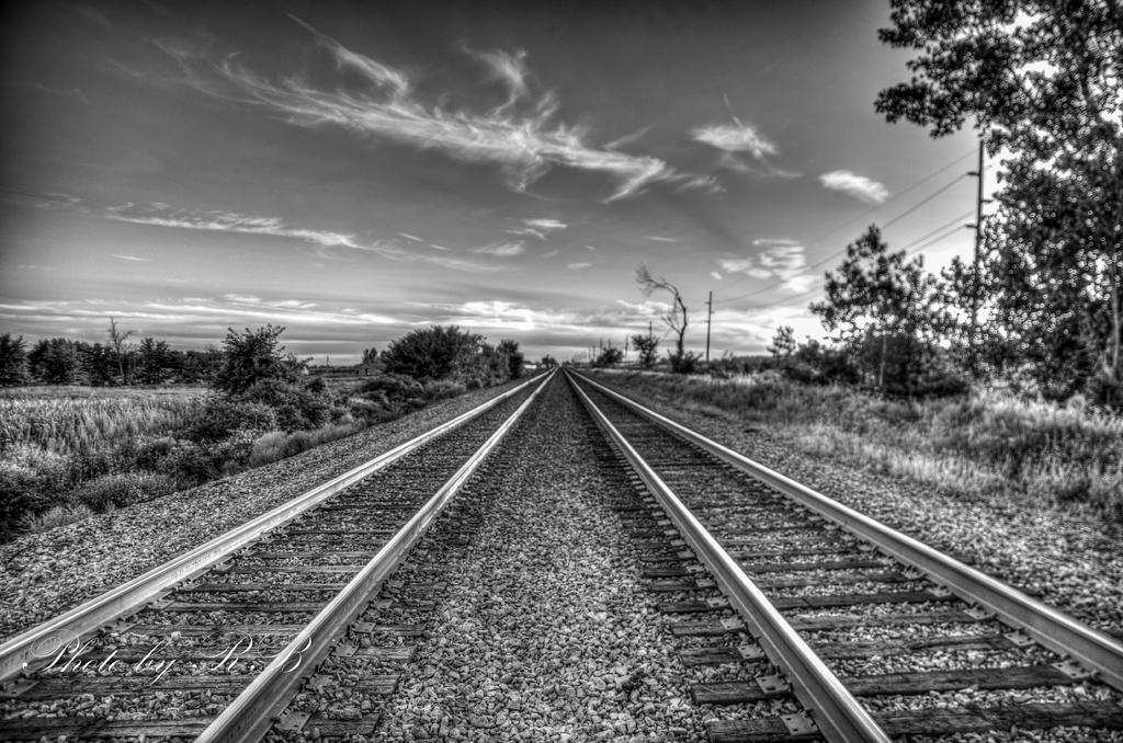 20130903-_1RB9715_6_7.jpg