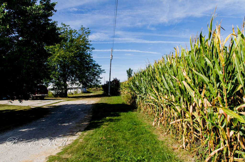 20130906-_1RB9728.jpg