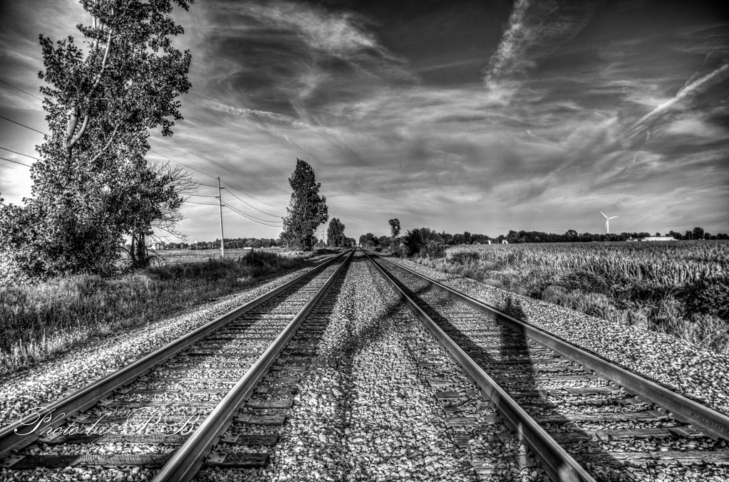 20130906-_1RB9732_3_4.jpg