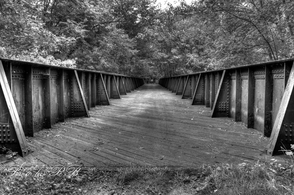 20130908-_1RB9776_7_8.jpg