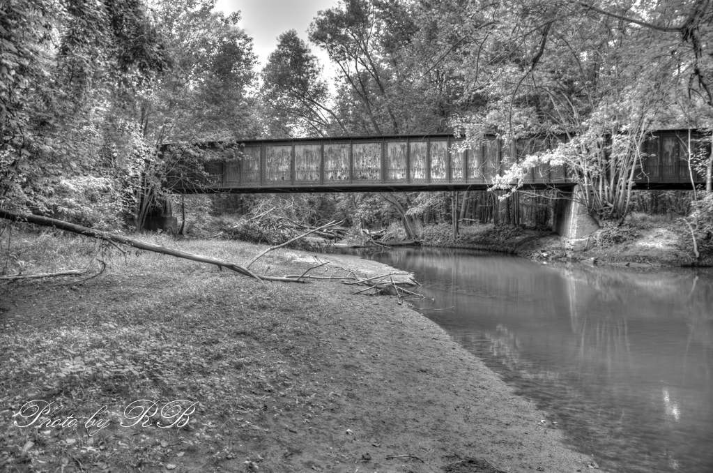 20130908-_1RB9785_6_7.jpg