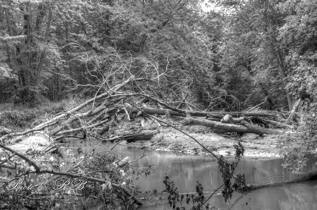 20130908-_1RB9799_800_801.jpg