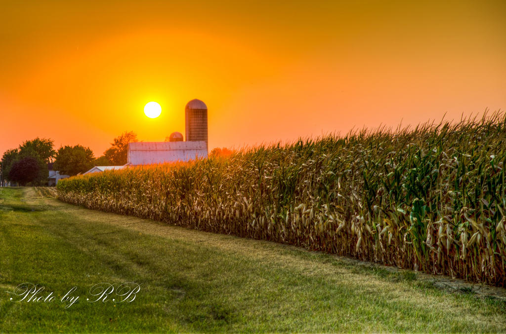 20130910-_1RB9858_59_60_61.jpg