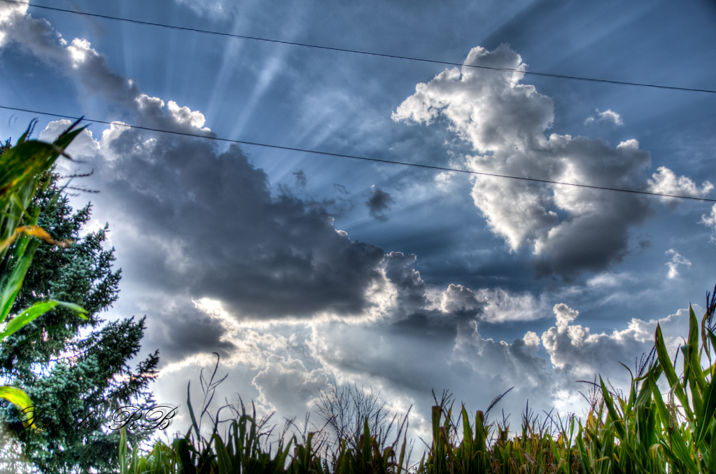 20130911-_1RB9891_2_3.jpg