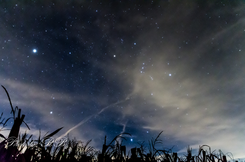 20130915-_1RB9939.jpg