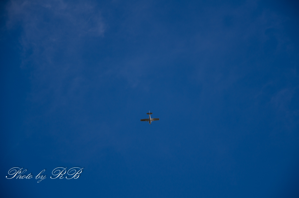 20130916-_1RB9978-2.jpg