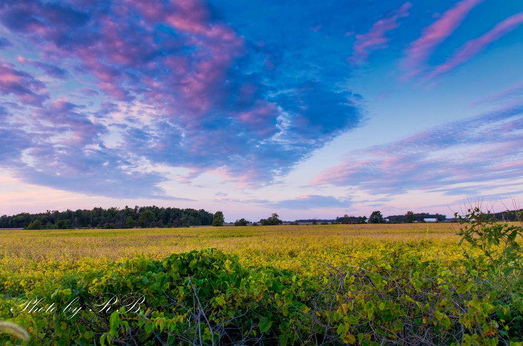 20130918-_1RB0001_2_3.jpg