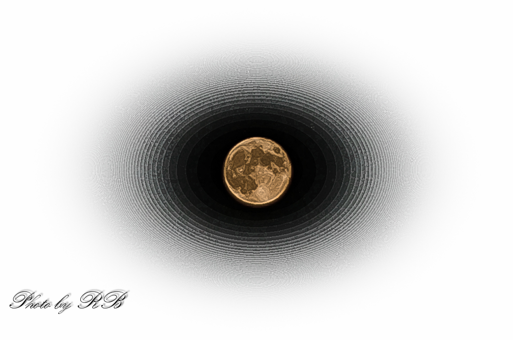 20130919-_1RB0031.jpg
