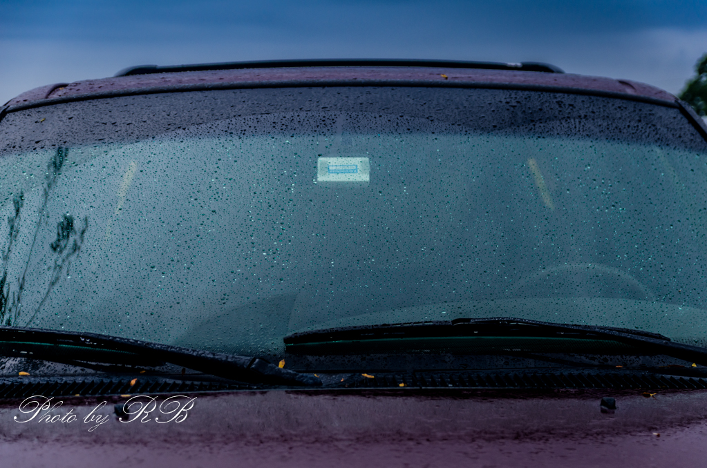 20130920-_1RB0035.jpg