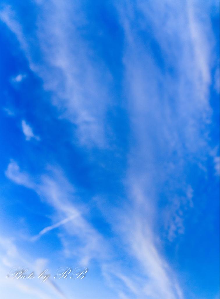 20130926-_1RB0074_5_6.jpg