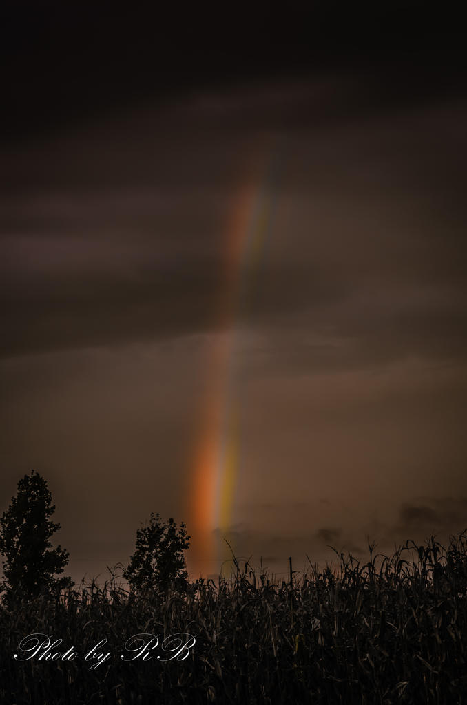 20131002-_1RB0090-2.jpg