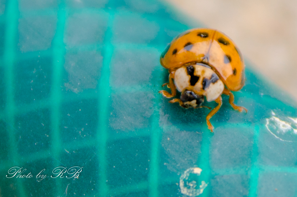 20131029-_1RB0373.jpg