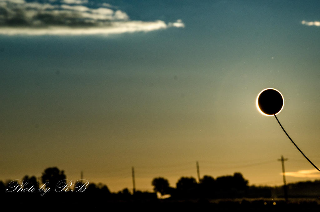 20131103-_1RB0438.jpg
