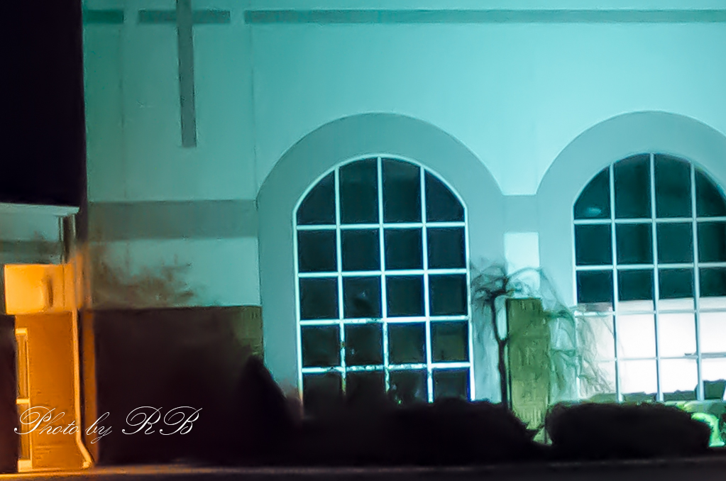 20131119-_1RB0843-3.jpg