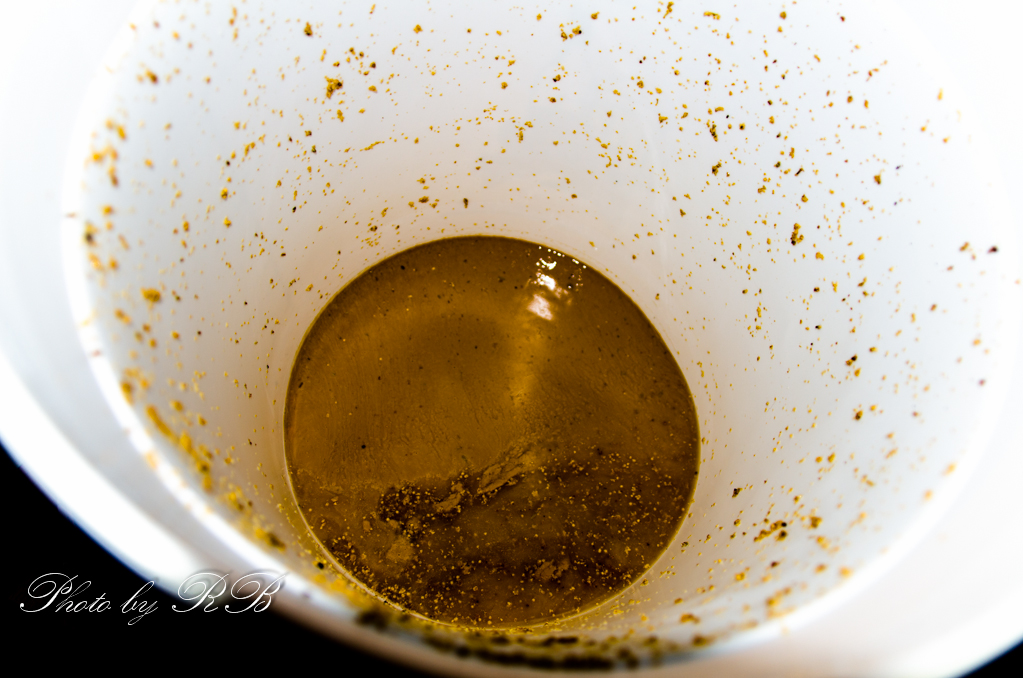 20131122-_1RB0961.jpg