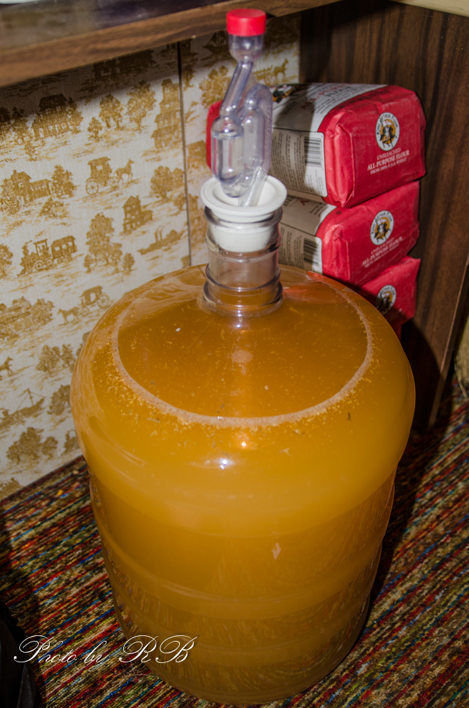 20131123-_1RB0962.jpg