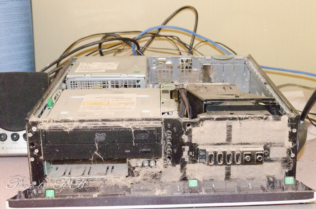 20131124-_1RB0967-2.jpg