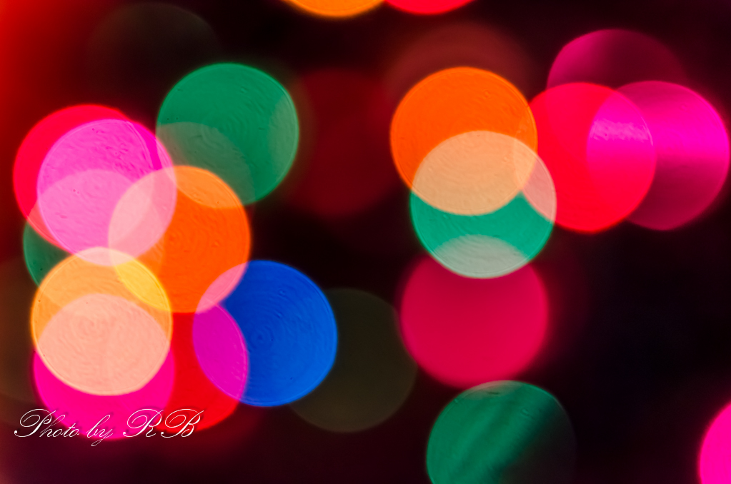 20131202-_1RB1062.jpg