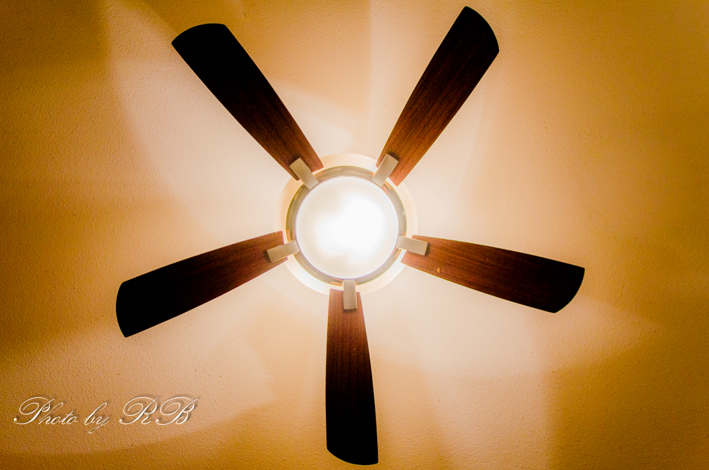 20131203-_1RB1064.jpg