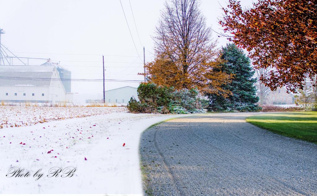 20131214-Driveway.jpg