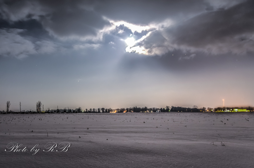 20131216-_1RB1163_4_5.jpg