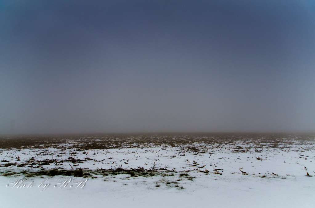 20131219-_1RB1179.jpg