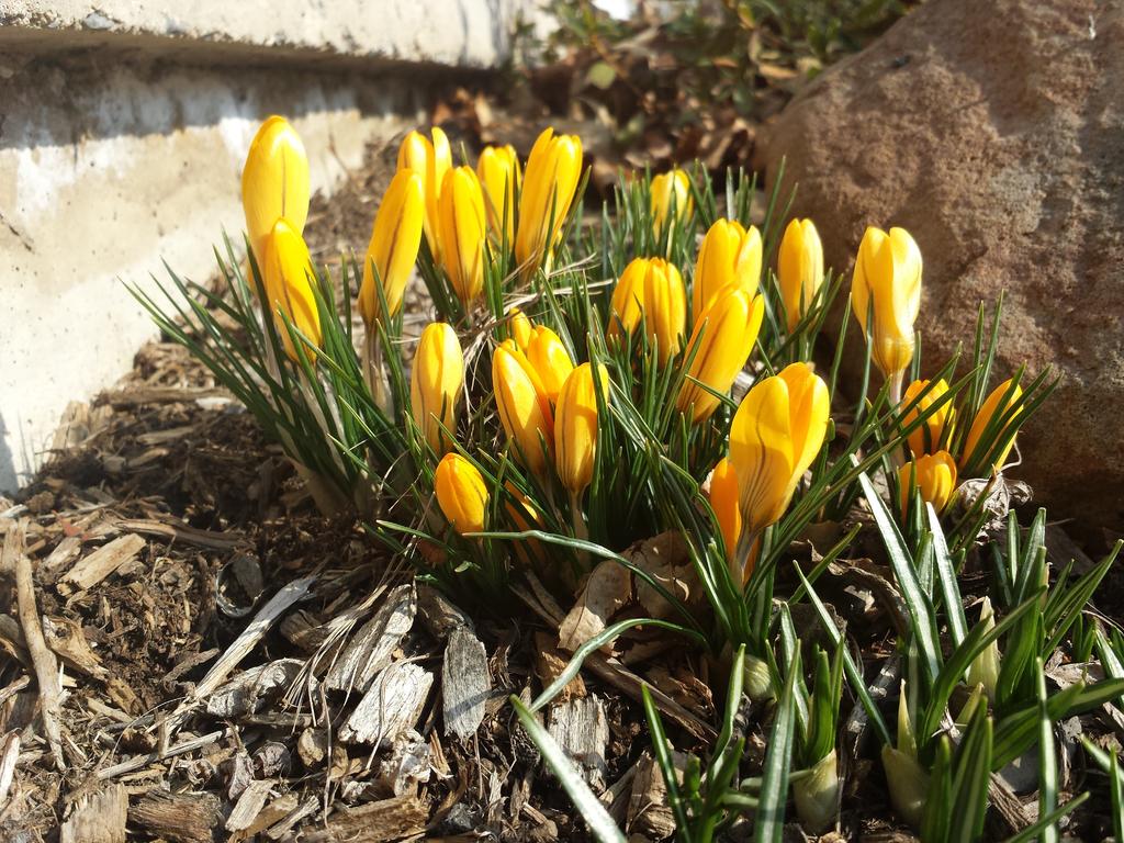 2014-03-12 16.12.56.jpg