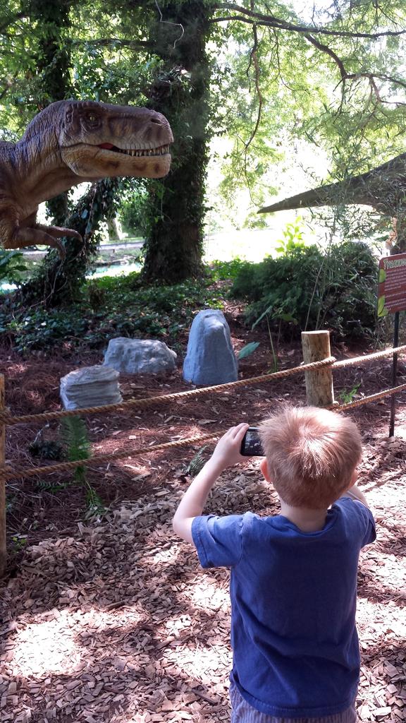 2014-06-15 12.06.05.jpg