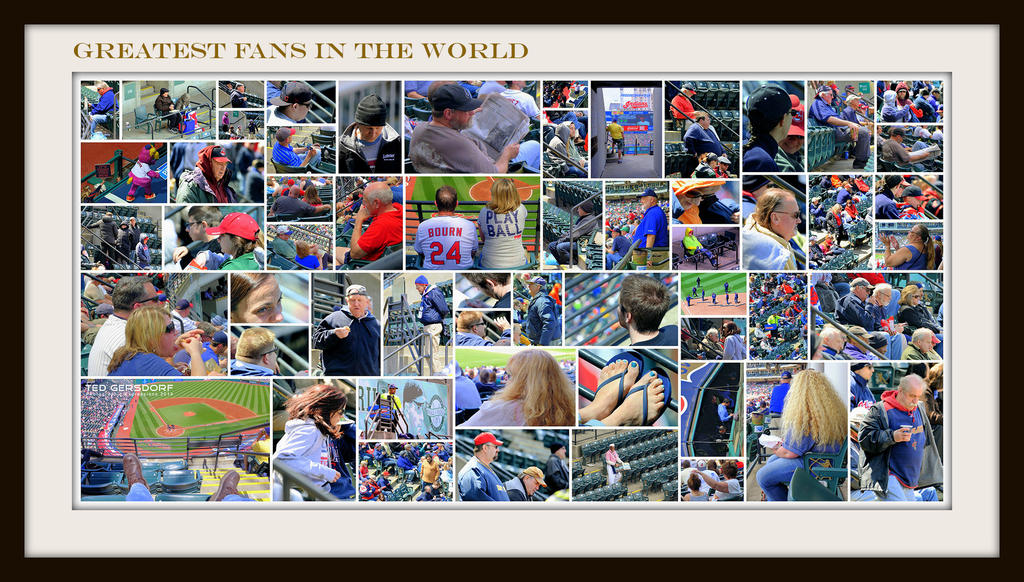 2014 Fans Collage-001.jpg