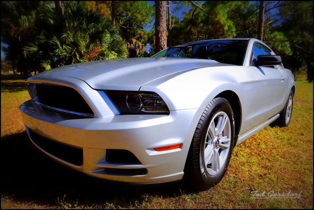 2014 Mustang S197.jpg
