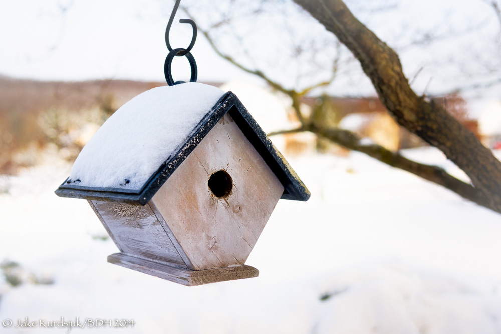20140103-_D621704-Edit.jpg