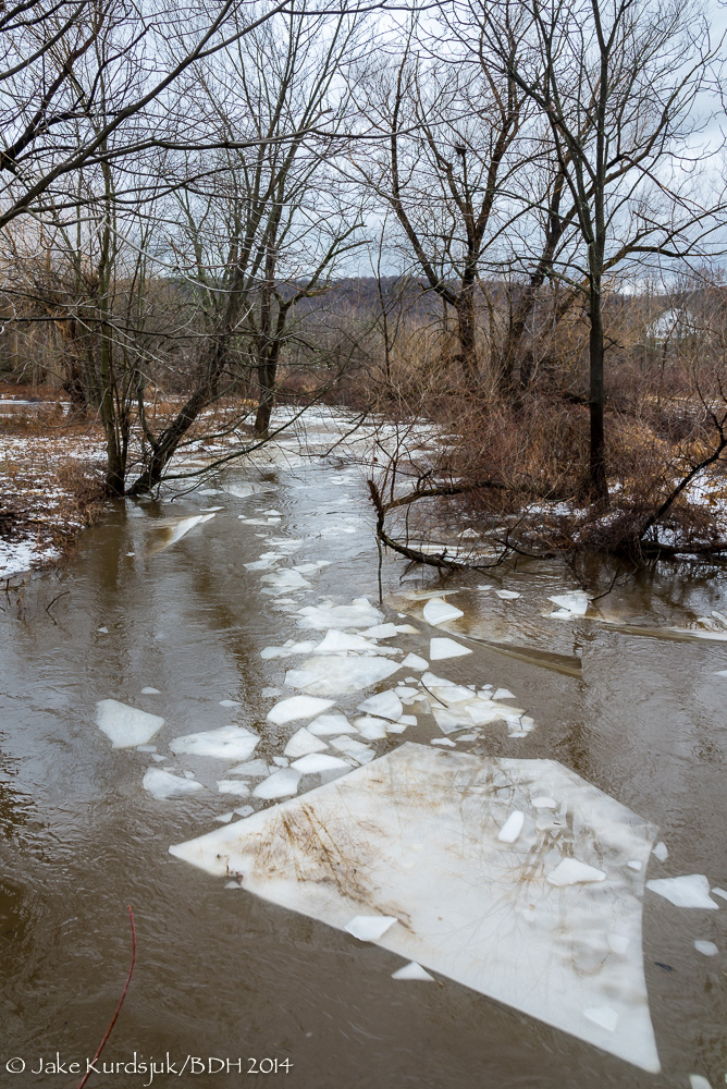 20140106-_D621808.jpg