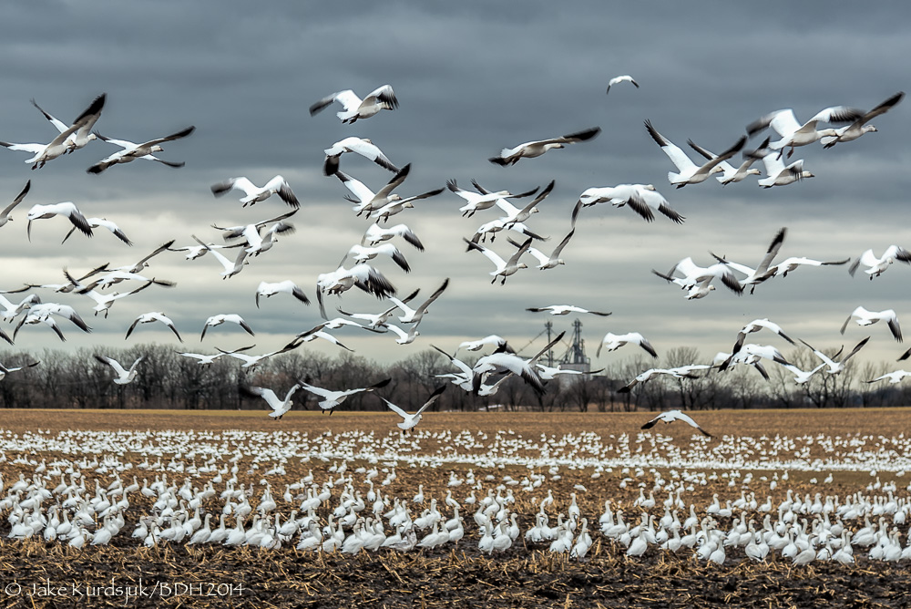 20140106-_D621820-Edit.jpg