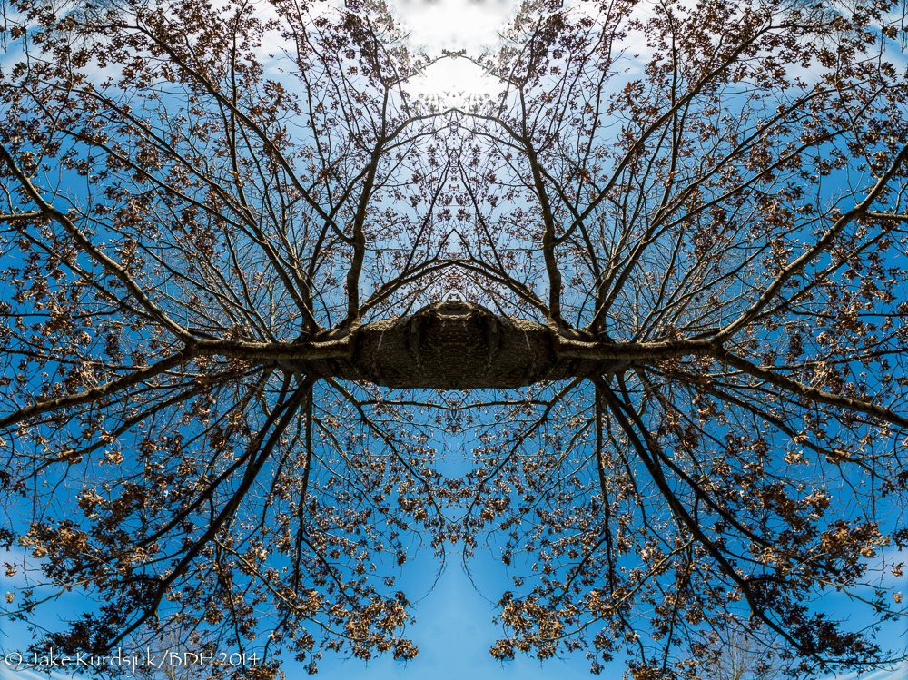20140108-_D806154-Edit-2.jpg
