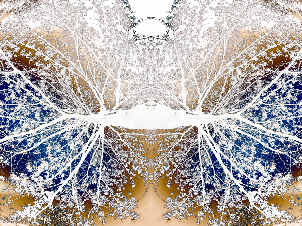20140108-_D806154-Solarization-1.jpg