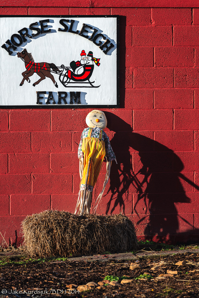 20140112-_D806369-Edit.jpg