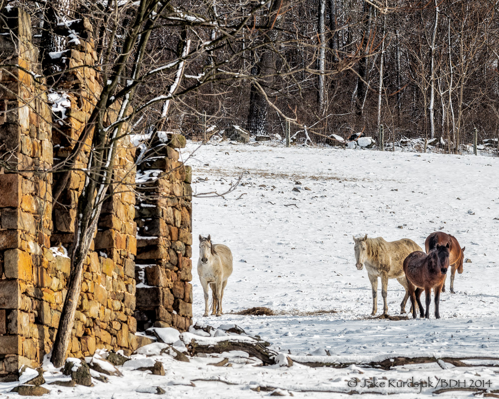 20140118-_D806464-Edit.jpg