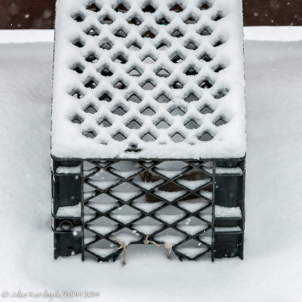 20140121-_D806517.jpg