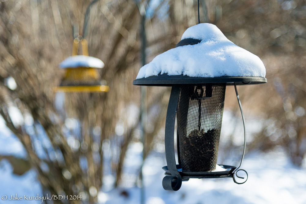 20140126-_D622480-Edit.jpg