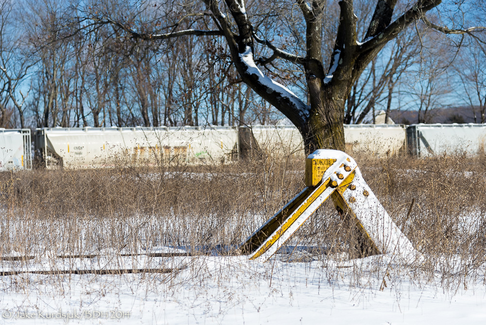 20140126-_D622483.jpg