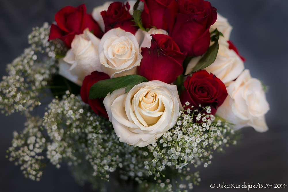 20140127-_D622552.jpg