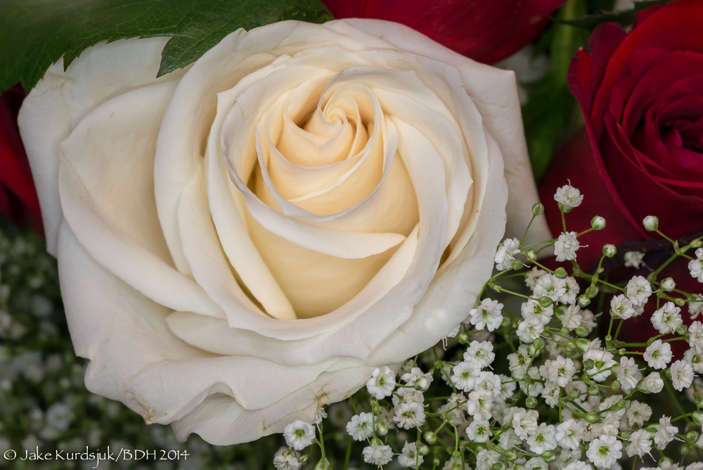 20140127-_D622567.jpg