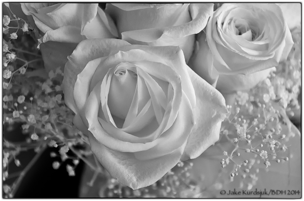 20140128-IR0_9902-B&W.jpg
