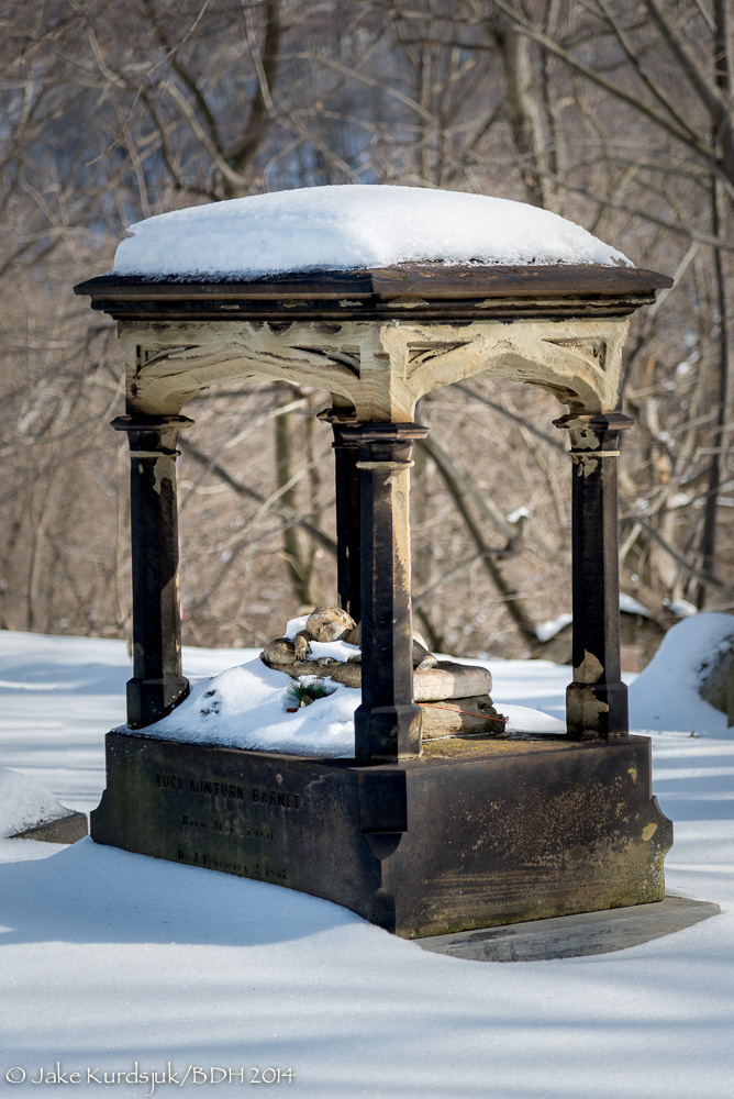 20140208-_D622938-Edit.jpg