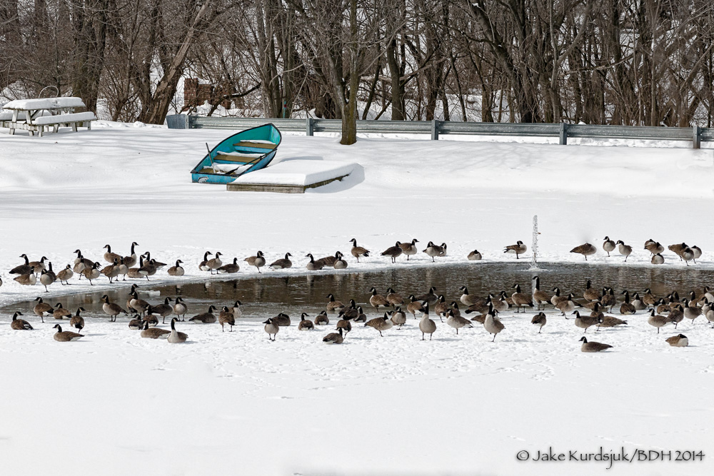 20140212-_D807367-Edit.jpg
