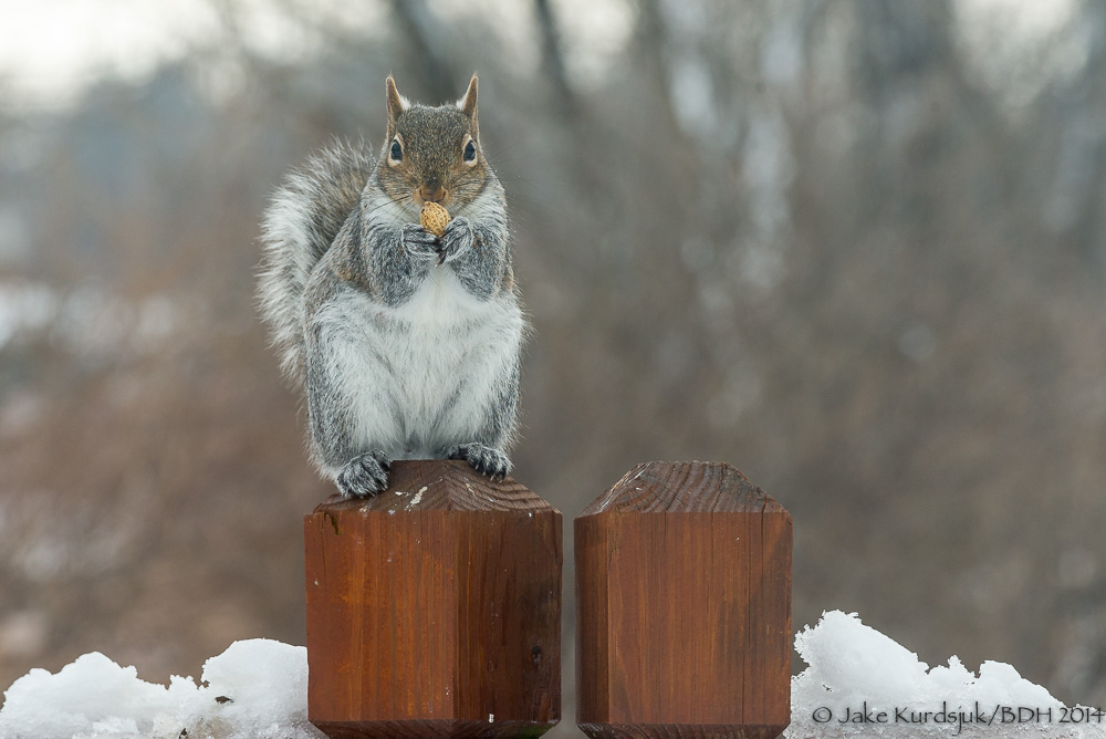 20140214-_D623396.jpg